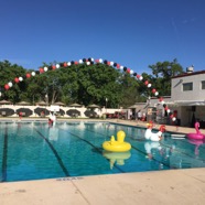 Pool Party Deco.jpg